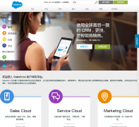 salesforcesalesforce.com