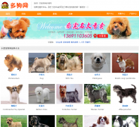  ๷dog.chongwujiaoyi.com