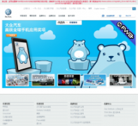 vw.com.cn