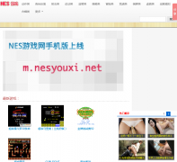 NESϷnesyouxi.net