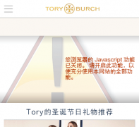 tory burch йwww.toryburch.cn