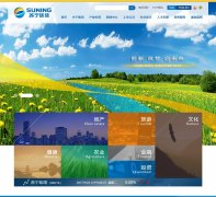 suning.com.cn