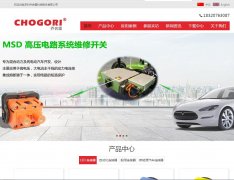 Ǻwww.chogori.cn