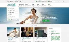 йstandardchartered.com.cn