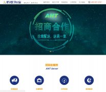 www.chinaant.com