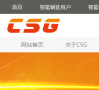 ƴcsg.com.cn