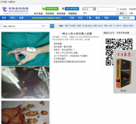 лhandsurgery.cn