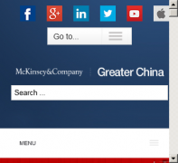 йmckinseychina.com